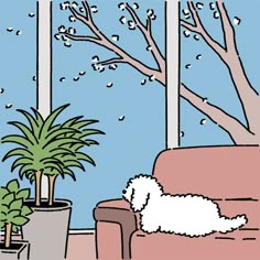 a white dog laying on top of a couch next to a potted plant in front of a window