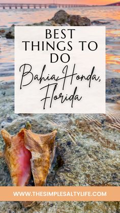 the best things to do in baby - hona, florida with text overlay