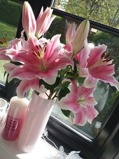 Stargazer Lilly, Valley Of Flowers, Aura Colors, Pink Lily, Pink Princess