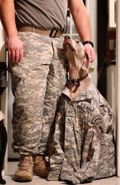 This pic really shows the love between dog and handler.    pic by @Melanie Bauer Bauer Bauer Bauer Bauer Bauer Bauer Thomas Dog Hero, Military Working Dogs, Military Dogs, Military Love, Military Heroes, Police Dogs, Service Animal, Weimaraner, American Heroes