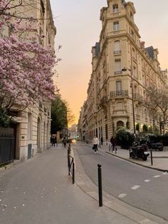 the street is lined with tall buildings and flowering trees