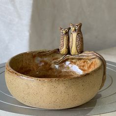 three little owls sitting on top of a bowl