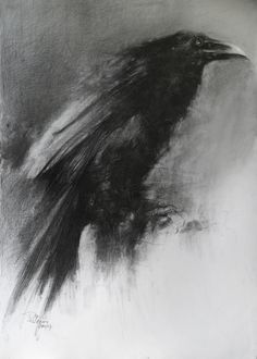 a black and white photo of a bird