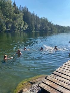 several people swimming in the water near a dock