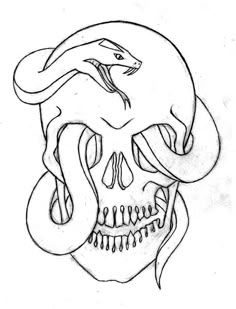 a skull with a snake on it's head