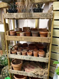 pots and plants are arranged on wooden shelves