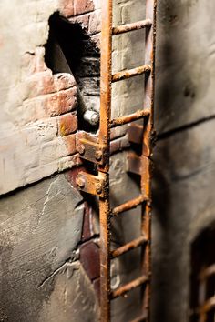 an old rusty ladder leaning up against a brick wall with holes in the bottom half