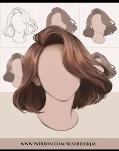 an image of a woman's head with different hair types and hairstyles