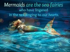 mermaids are the sea fairies who have lingered in the sea singing to our hearts