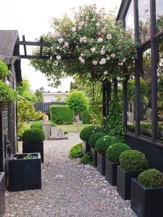 an outdoor garden with potted plants and gravel path leading up to the front door