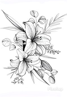 Stargazing Lily Tattoo, Lily Floral Tattoo, Stargazer Lily Drawing, Easter Lily Tattoo, Arte Trash Polka, Lilly Tattoo Design, Lily Flower Tattoo, Tiger Lily Tattoos, Flower Tattoo Stencils