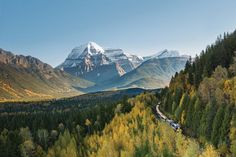 a train traveling through a lush green forest filled with trees and snow covered mountains in the distance