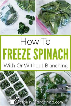 how to freeze spinach with or without blancching