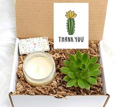 an open box with a candle, card and succulents