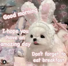 a small white dog sitting next to a stuffed animal on top of a bed covered in hearts