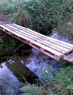 a wooden bridge over a small stream in the woods