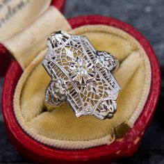 This detailed vintage ring holds one buttercup set single-cut diamond at the center of an array of beautiful filigree. The ring is crafted from 14k white gold and is currently a size 5.5. Gaudy Jewelry, Lalique Jewelry, Filigree Ring, Vintage Ring, The Ring, Vintage Diamond, Lalique, Vintage Rings, Art Nouveau