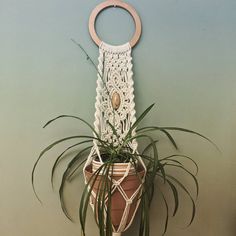 a potted plant with a macrame hanging from it's side next to a green wall