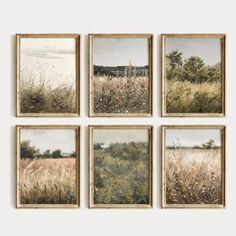 four framed pictures with grass and trees in the background, each showing different types of plants