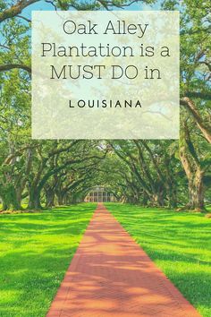 oak alley plantation is a must - do in louisiana, with the caption over it