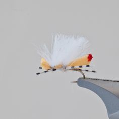 a white and yellow fly on top of a pair of scissors