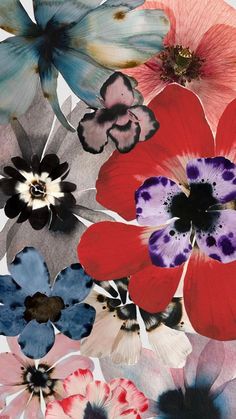 an assortment of colorful flowers on a white background