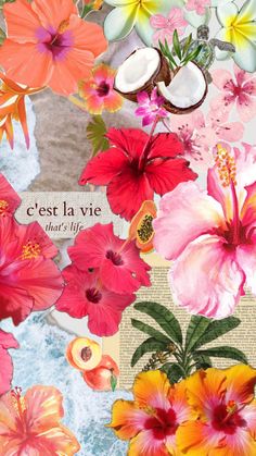 a collage of flowers and coconuts with the words cest la vie that's life