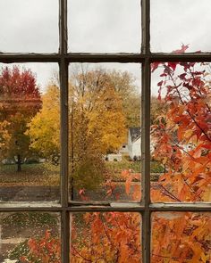 an open window with autumn leaves outside