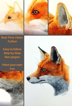 four different views of a fox's head with the words real time video tullion easy to follow step by step non targon paint your own fox