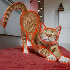 an orange and white cat with its eyes closed, standing on the floor next to a red rug