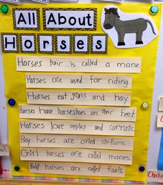 a bulletin board with words about horses and pictures on the front, along with other writing