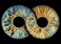 an eyeball is shown in the dark with its iris partially opened and showing it's pattern