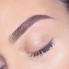 Lashes And Eyebrows, Eyebrow Care, Eyebrow Shapes, Filling In Eyebrows, How To Grow Eyebrows