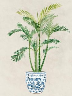 a plant in a blue and white pot