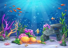 an underwater scene with corals and fish under the sea illustration for children's books