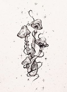 an ink drawing of mushrooms and vines