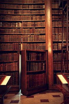 an old library with many books on the shelves