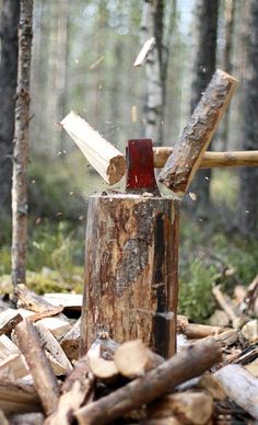 its that time of the year! i dont know why, but i really like chopping wood lately. :) Pics Art, The Animals, Red Riding Hood