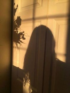 the shadow of a person standing in front of a door with a potted plant