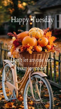 a bicycle with fall leaves and pumpkins in the basket on it's front