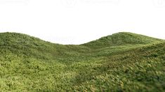 the grass is growing on top of the hill