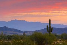 the sun is setting over some mountains and cactus trees in the foreground, with a pink sky