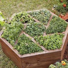 a wooden box filled with lots of green plants