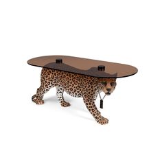 a cheetah is walking across a glass table