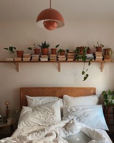 an unmade bed with plants on the shelves above it and a laptop computer sitting on top