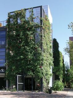 an office building covered in vines and flowers