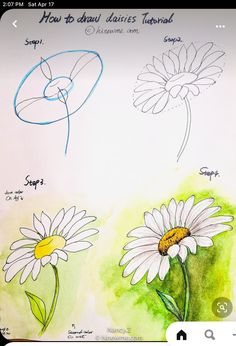 an image of three flowers drawn on paper