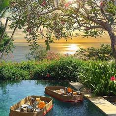 two small boats floating on top of a swimming pool next to lush green plants and flowers