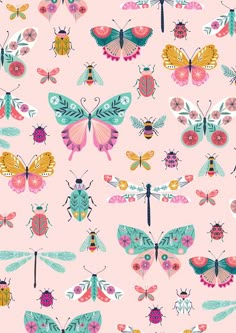 colorful butterflies and bugs on pink background