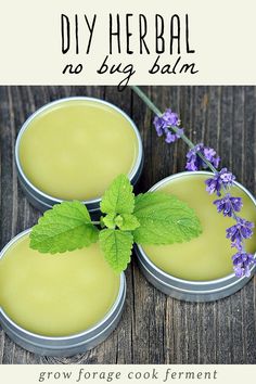 Homemade Salve, Herbal Remedies Recipes, Salve Recipes, Herbal Salves, Herbs And Flowers, Herbal Recipes, Homemade Remedies